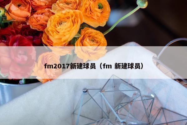 fm2017新建球员（fm 新建球员）