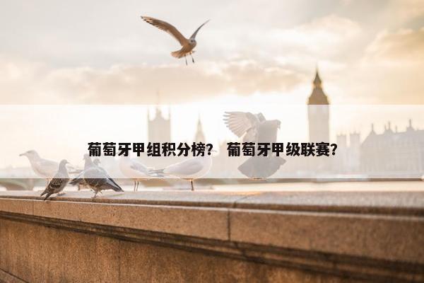 葡萄牙甲组积分榜？ 葡萄牙甲级联赛？