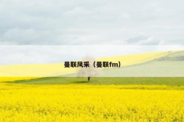 曼联风采（曼联fm）