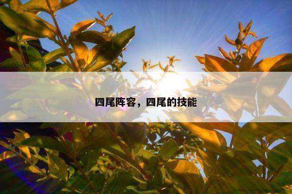 四尾阵容，四尾的技能