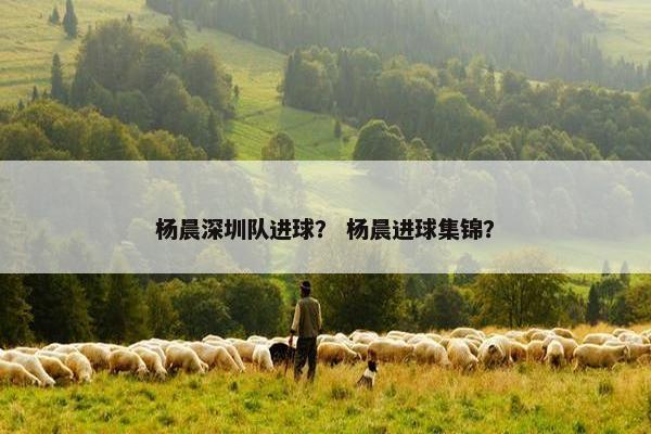 杨晨深圳队进球？ 杨晨进球集锦？