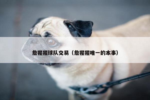 詹猩猩球队交易（詹猩猩唯一的本事）