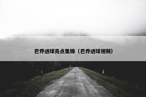 巴乔进球亮点集锦（巴乔进球视频）