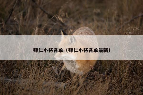 拜仁小将名单（拜仁小将名单最新）