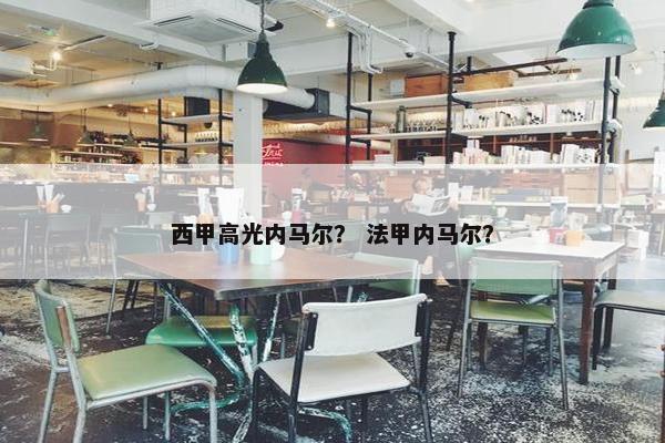 西甲高光内马尔？ 法甲内马尔？