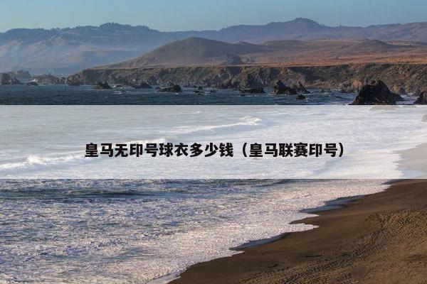 皇马无印号球衣多少钱（皇马联赛印号）