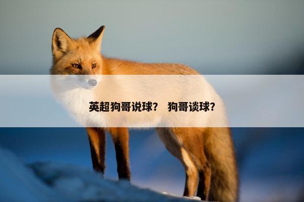 英超狗哥说球？ 狗哥谈球？