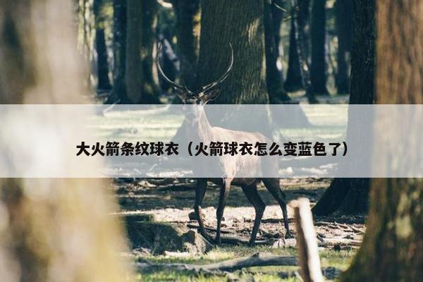 大火箭条纹球衣（火箭球衣怎么变蓝色了）