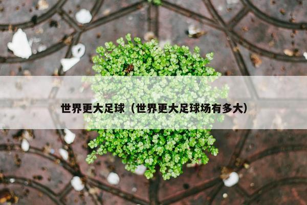 世界更大足球（世界更大足球场有多大）