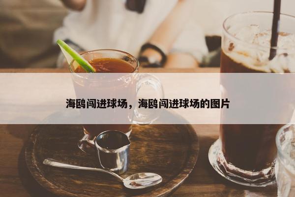 海鸥闯进球场，海鸥闯进球场的图片