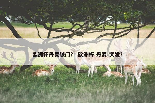 欧洲杯丹麦破门？ 欧洲杯 丹麦 突发？