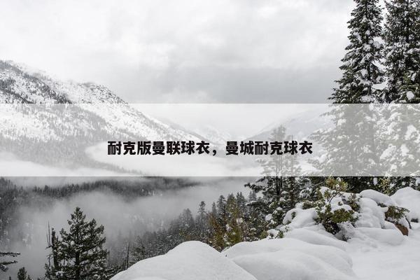耐克版曼联球衣，曼城耐克球衣