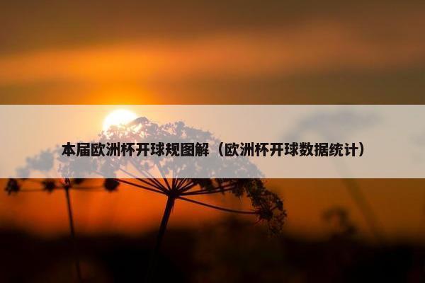 本届欧洲杯开球规图解（欧洲杯开球数据统计）