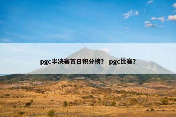 pgc半决赛首日积分榜？ pgc比赛？