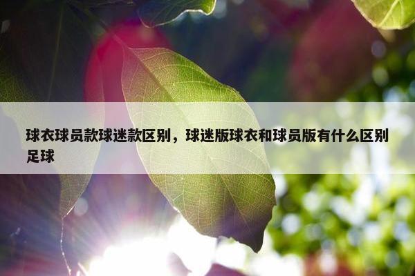 球衣球员款球迷款区别，球迷版球衣和球员版有什么区别足球