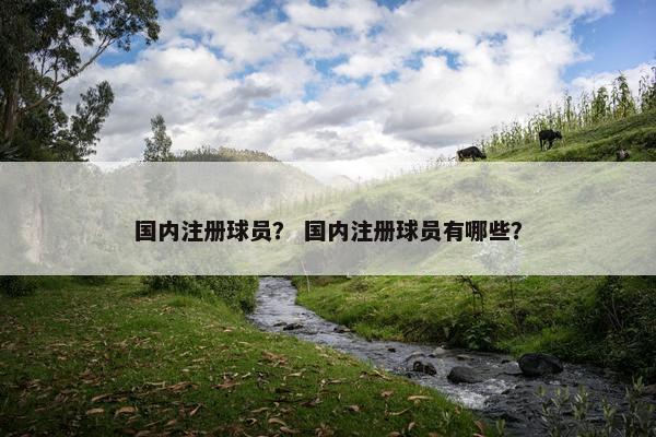 国内注册球员？ 国内注册球员有哪些？