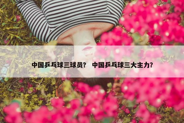 中国乒乓球三球员？ 中国乒乓球三大主力？