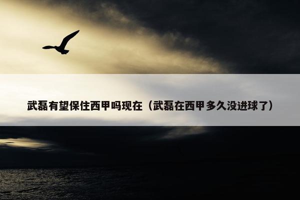 武磊有望保住西甲吗现在（武磊在西甲多久没进球了）