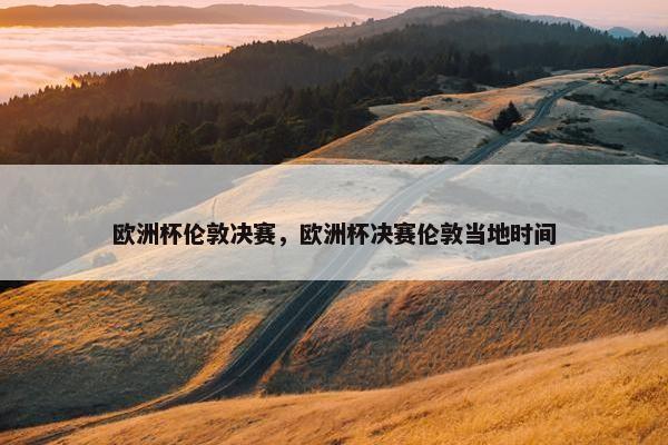 欧洲杯伦敦决赛，欧洲杯决赛伦敦当地时间