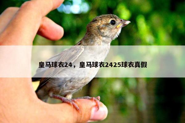 皇马球衣24，皇马球衣2425球衣真假