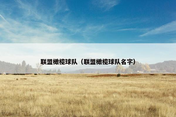 联盟橄榄球队（联盟橄榄球队名字）