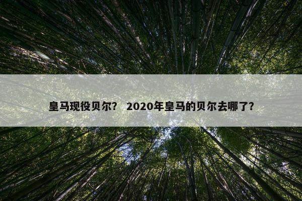 皇马现役贝尔？ 2020年皇马的贝尔去哪了？