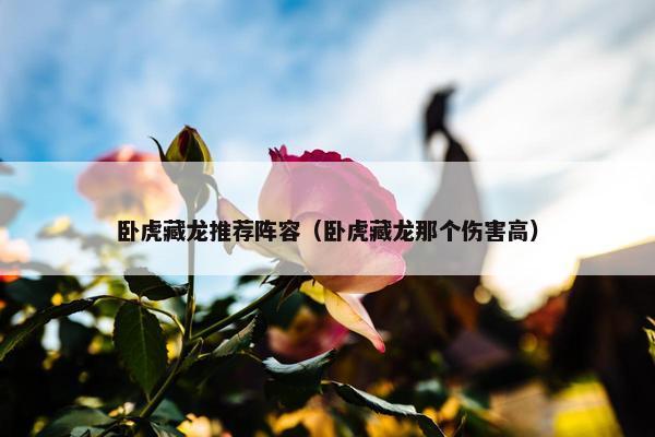 卧虎藏龙推荐阵容（卧虎藏龙那个伤害高）