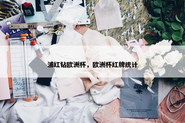 浦红钻欧洲杯，欧洲杯红牌统计