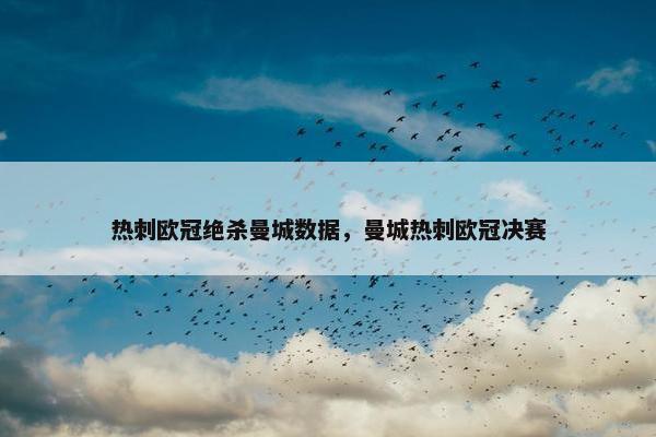 热刺欧冠绝杀曼城数据，曼城热刺欧冠决赛
