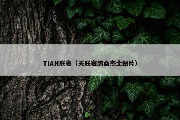 TIAN联赛（天联赛鸽桑杰士图片）
