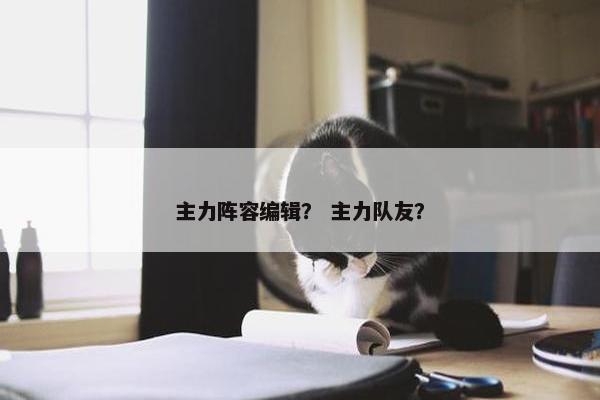 主力阵容编辑？ 主力队友？