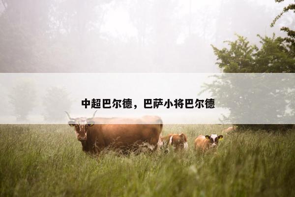 中超巴尔德，巴萨小将巴尔德