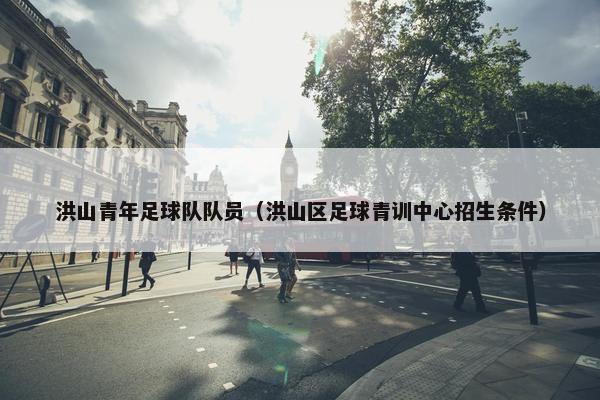 洪山青年足球队队员（洪山区足球青训中心招生条件）