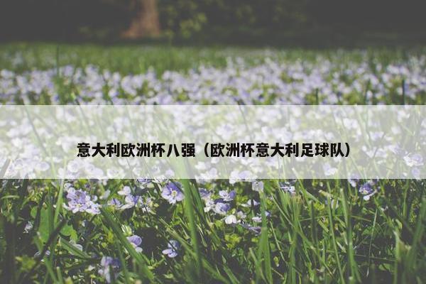 意大利欧洲杯八强（欧洲杯意大利足球队）
