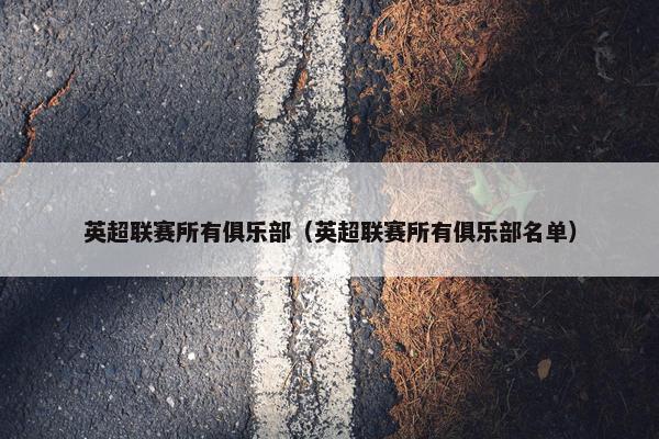 英超联赛所有俱乐部（英超联赛所有俱乐部名单）