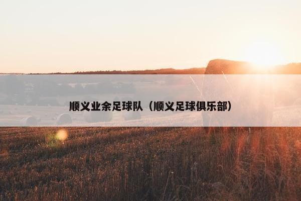 顺义业余足球队（顺义足球俱乐部）