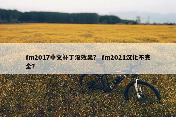 fm2017中文补丁没效果？ fm2021汉化不完全？