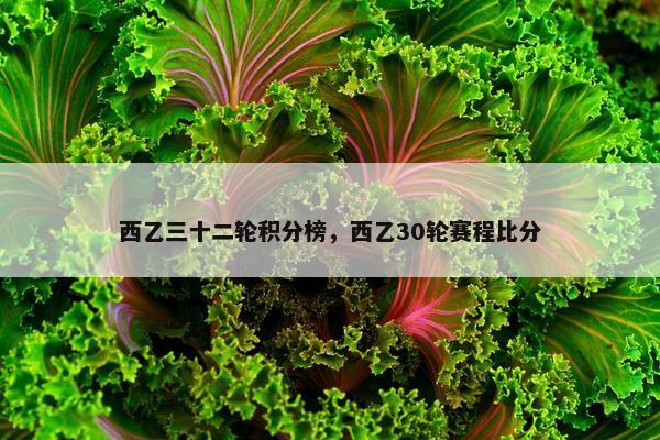 西乙三十二轮积分榜，西乙30轮赛程比分