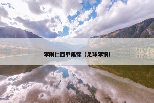 李刚仁西甲集锦（足球李钢）