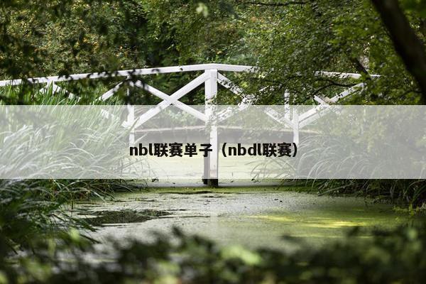 nbl联赛单子（nbdl联赛）