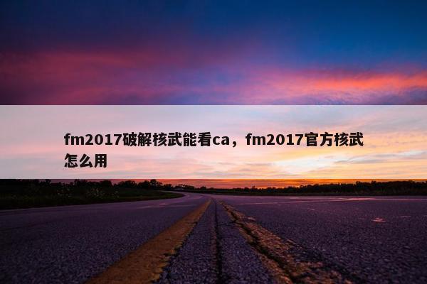 fm2017破解核武能看ca，fm2017官方核武怎么用