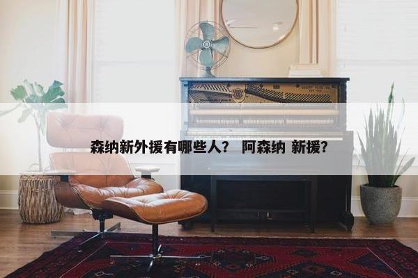 森纳新外援有哪些人？ 阿森纳 新援？