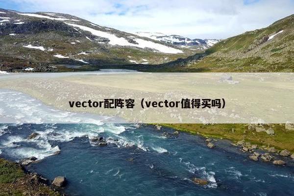 vector配阵容（vector值得买吗）