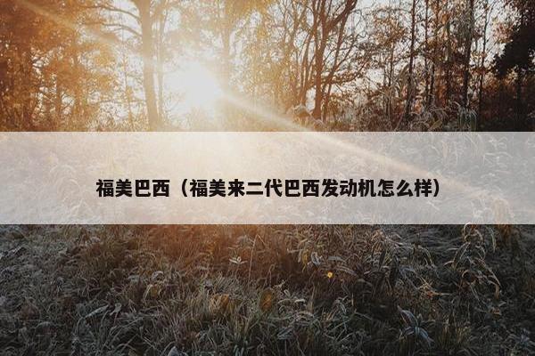 福美巴西（福美来二代巴西发动机怎么样）