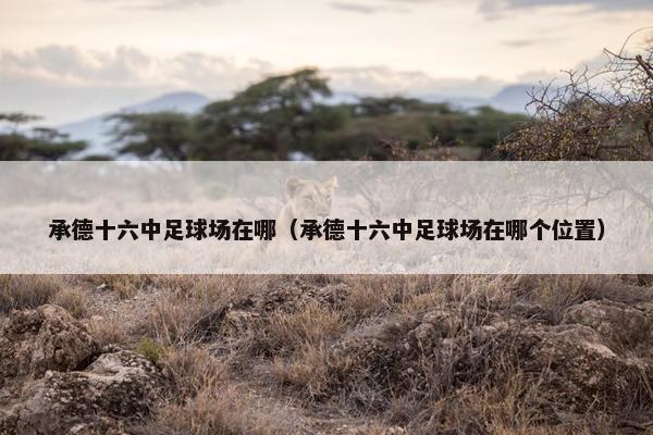 承德十六中足球场在哪（承德十六中足球场在哪个位置）