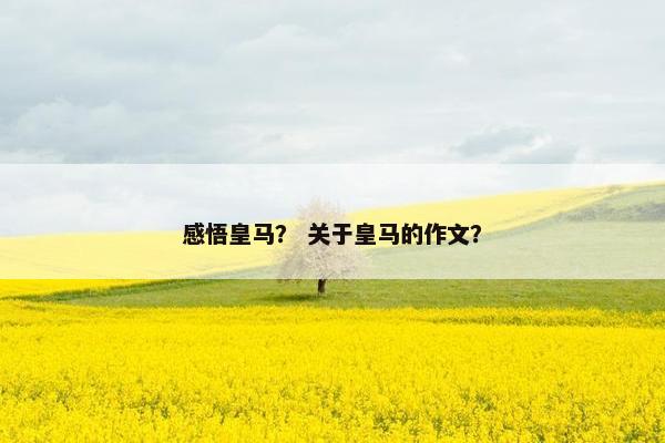 感悟皇马？ 关于皇马的作文？