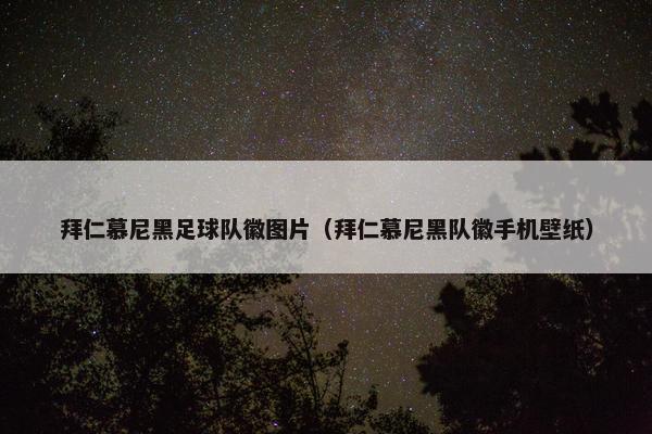 拜仁慕尼黑足球队徽图片（拜仁慕尼黑队徽手机壁纸）
