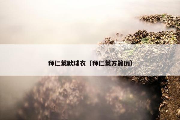 拜仁莱默球衣（拜仁莱万简历）