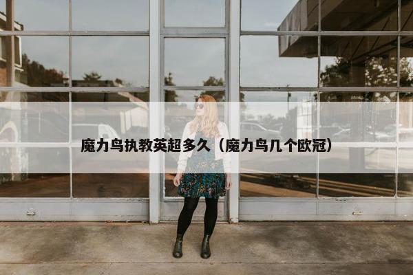 魔力鸟执教英超多久（魔力鸟几个欧冠）