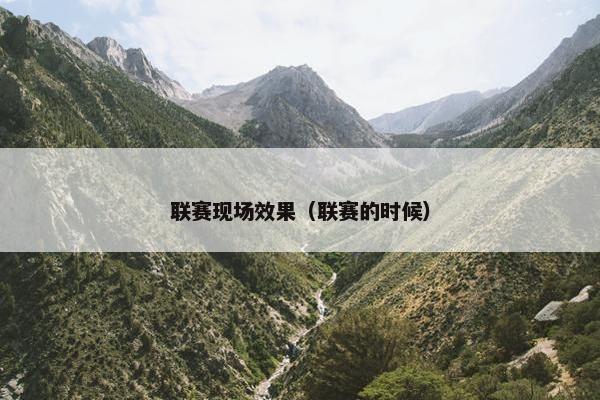 联赛现场效果（联赛的时候）
